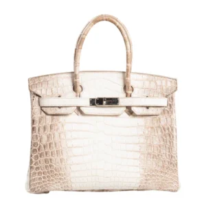 Hermes Birkin 30 Matte Niloticus Blanc Himalaya